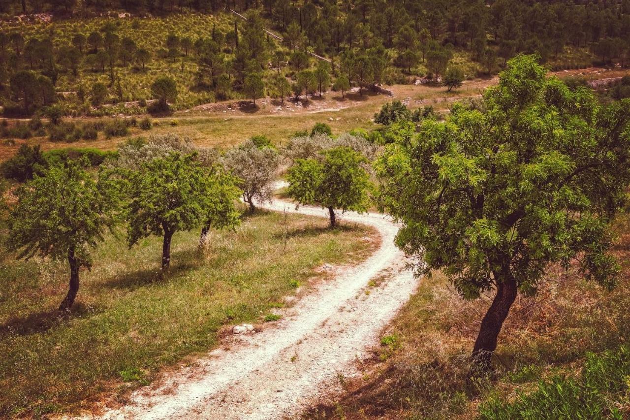 Casa Luna - 16Th Century Traditional Spanish Village House Pinos del Valle Εξωτερικό φωτογραφία
